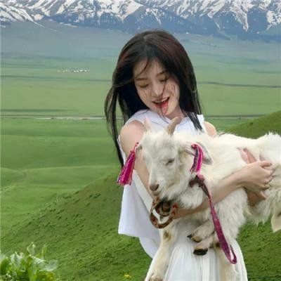 掉头即死 在线观看